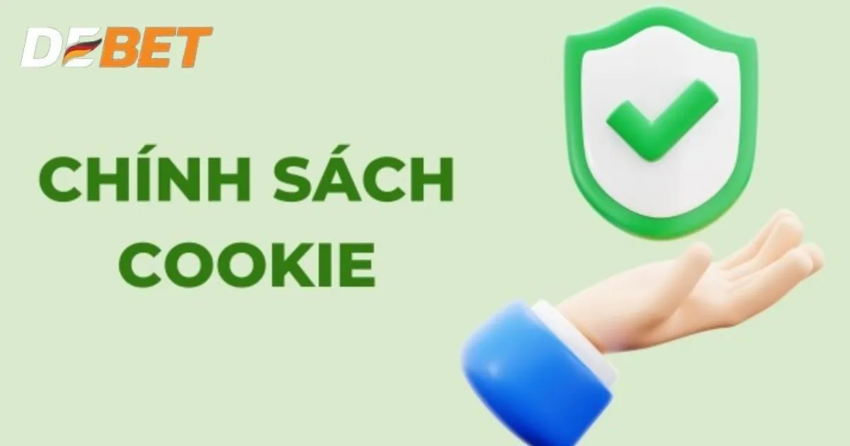 Những dạng dữ liệu cookie phổ biến tại Debet